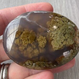 Polished Scenic Moss Agate Palm Stone